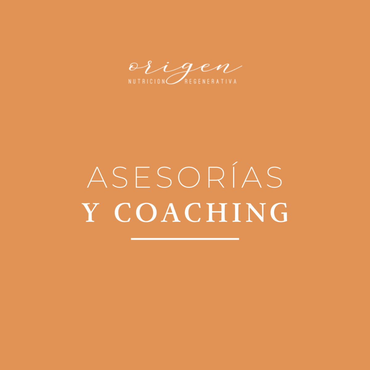 Asesorías 1:1 y coaching